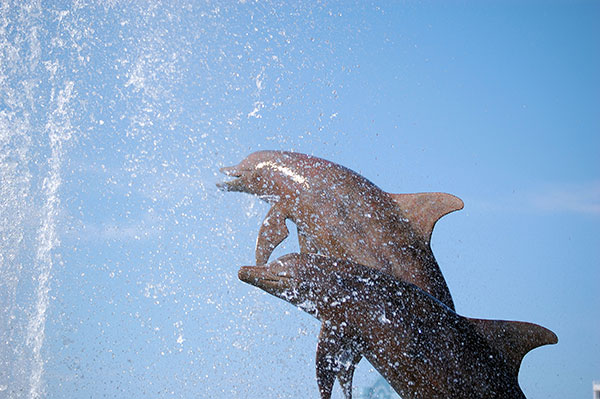 Dolphin Statue in Downtown Sarasota