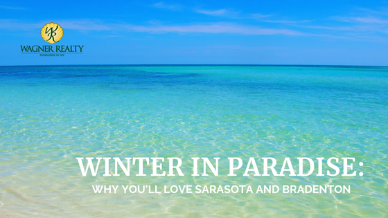 Sarasota Winter